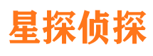 隆回市调查公司